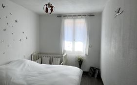 Bel Appartement Climatise Centre